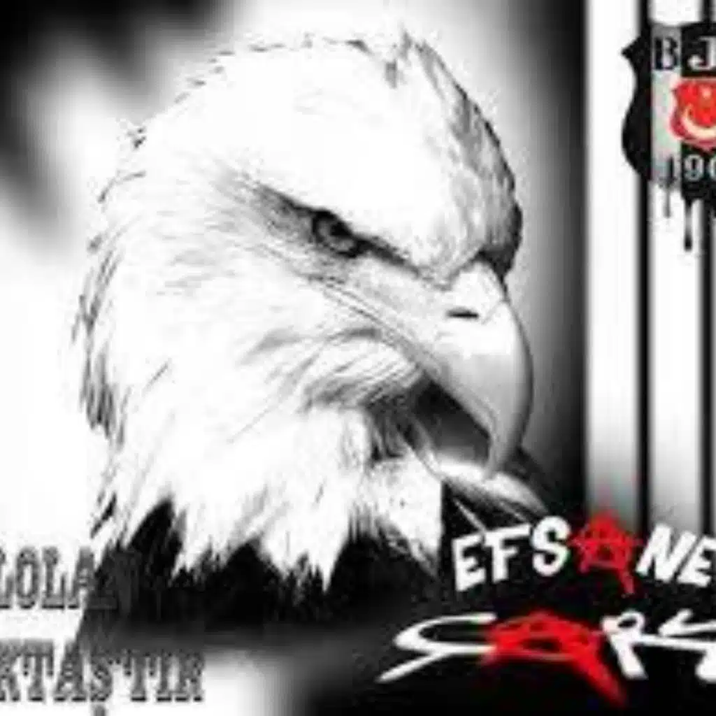 Haydi Beşiktaşım