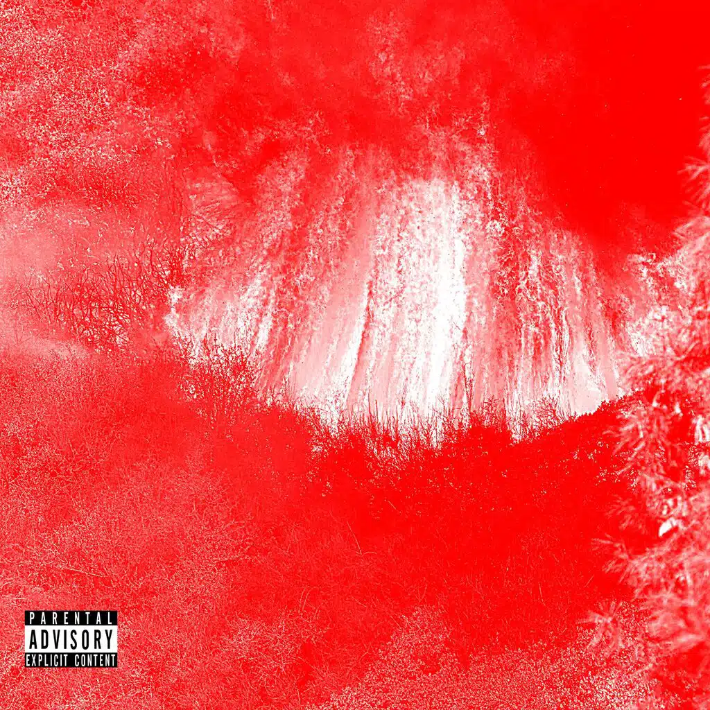 Project RED
