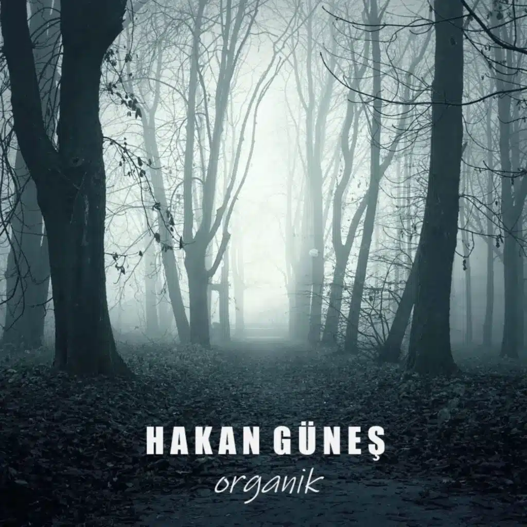 Hakan Güneş