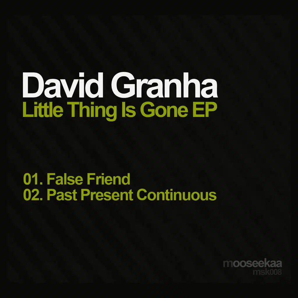 Little Thing Is Gone EP