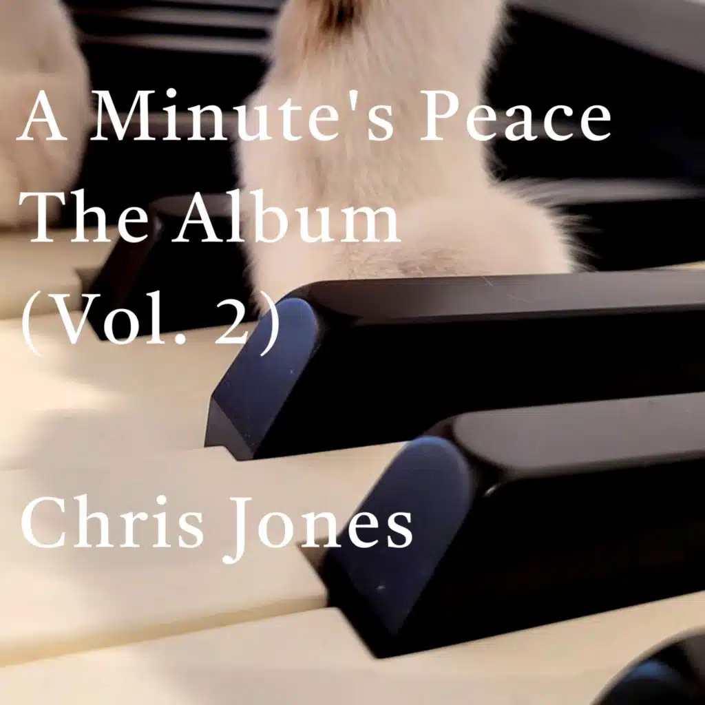 A Minute's Peace, Vol. 2