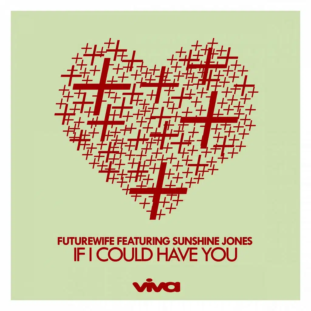If I Could Have You