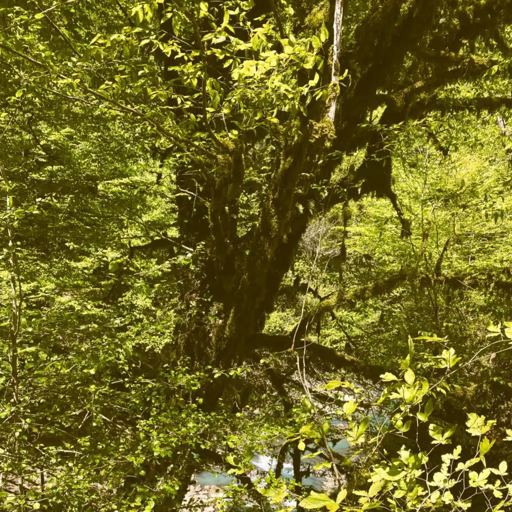 A Quiet Place Below the Heat
