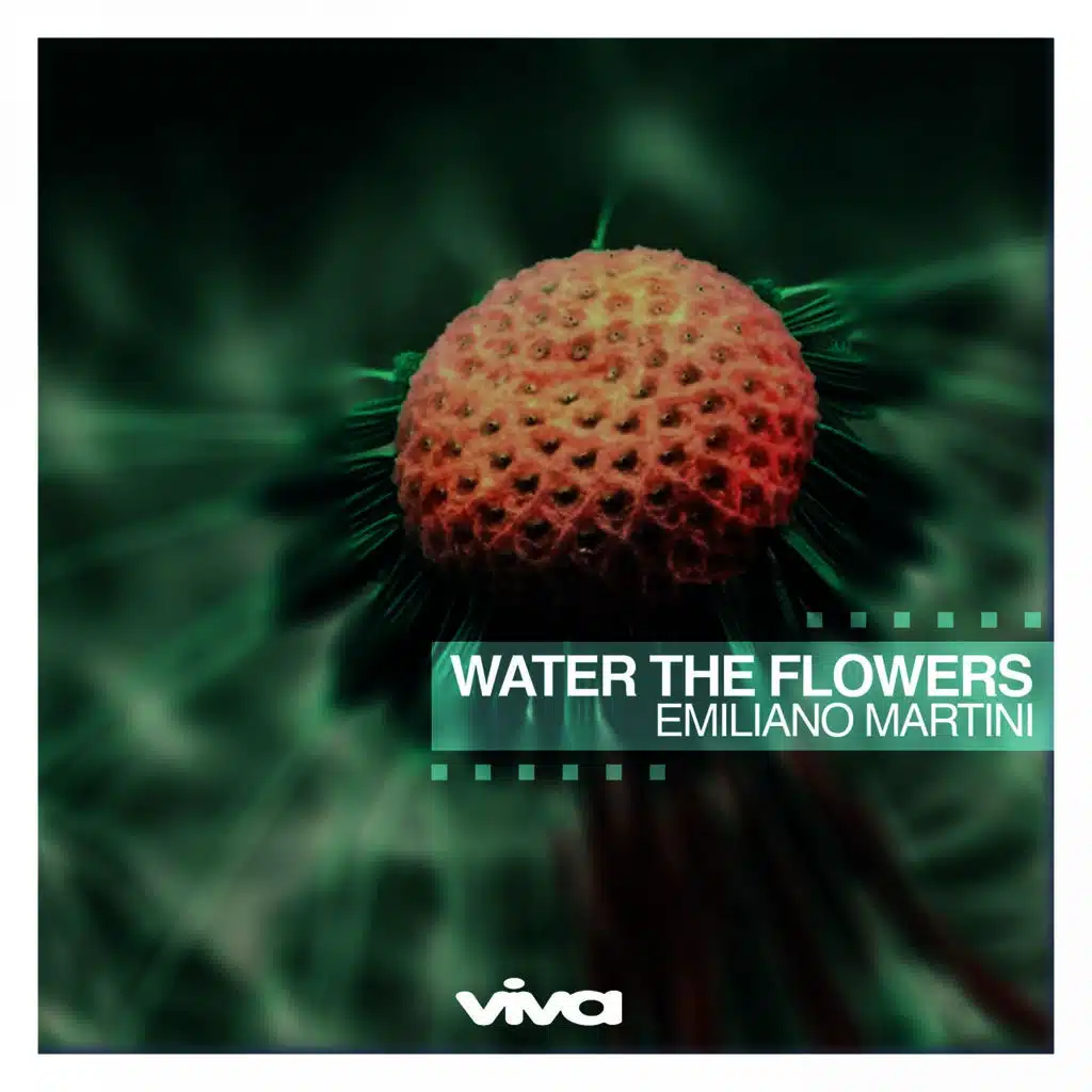 Water the Flowers