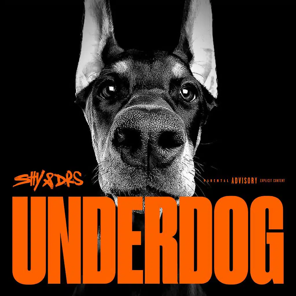 UNDERDOG