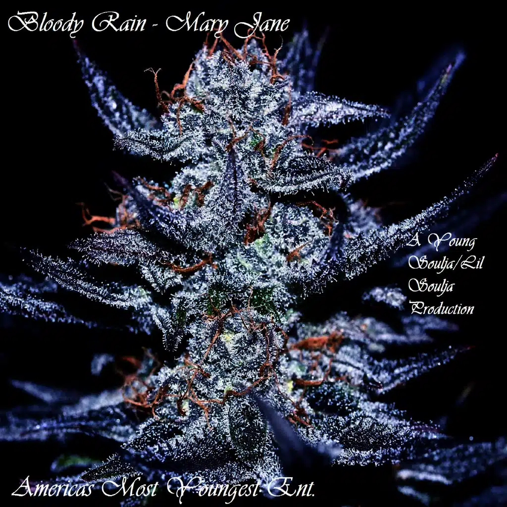 Mary Jane