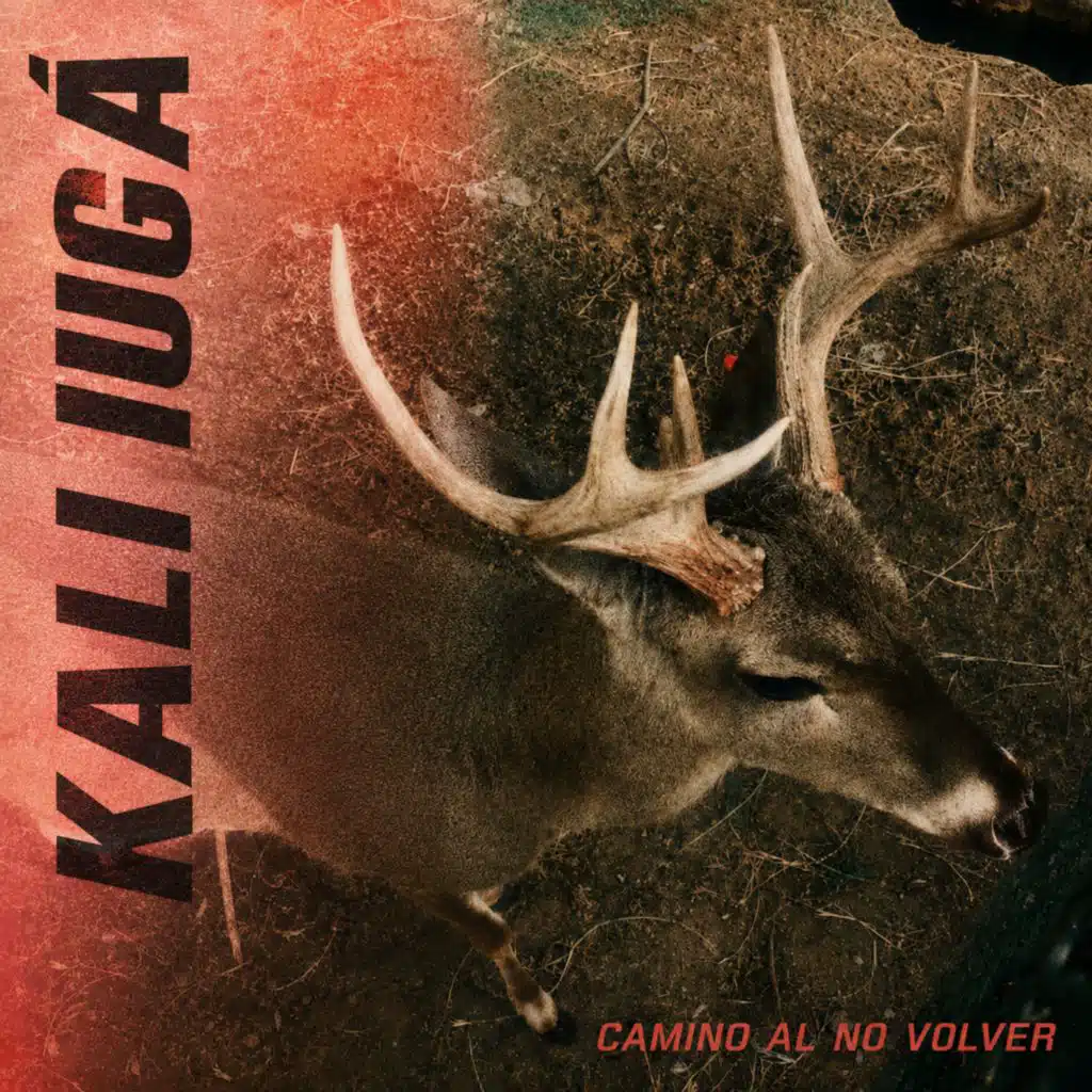 Camino Al No Volver