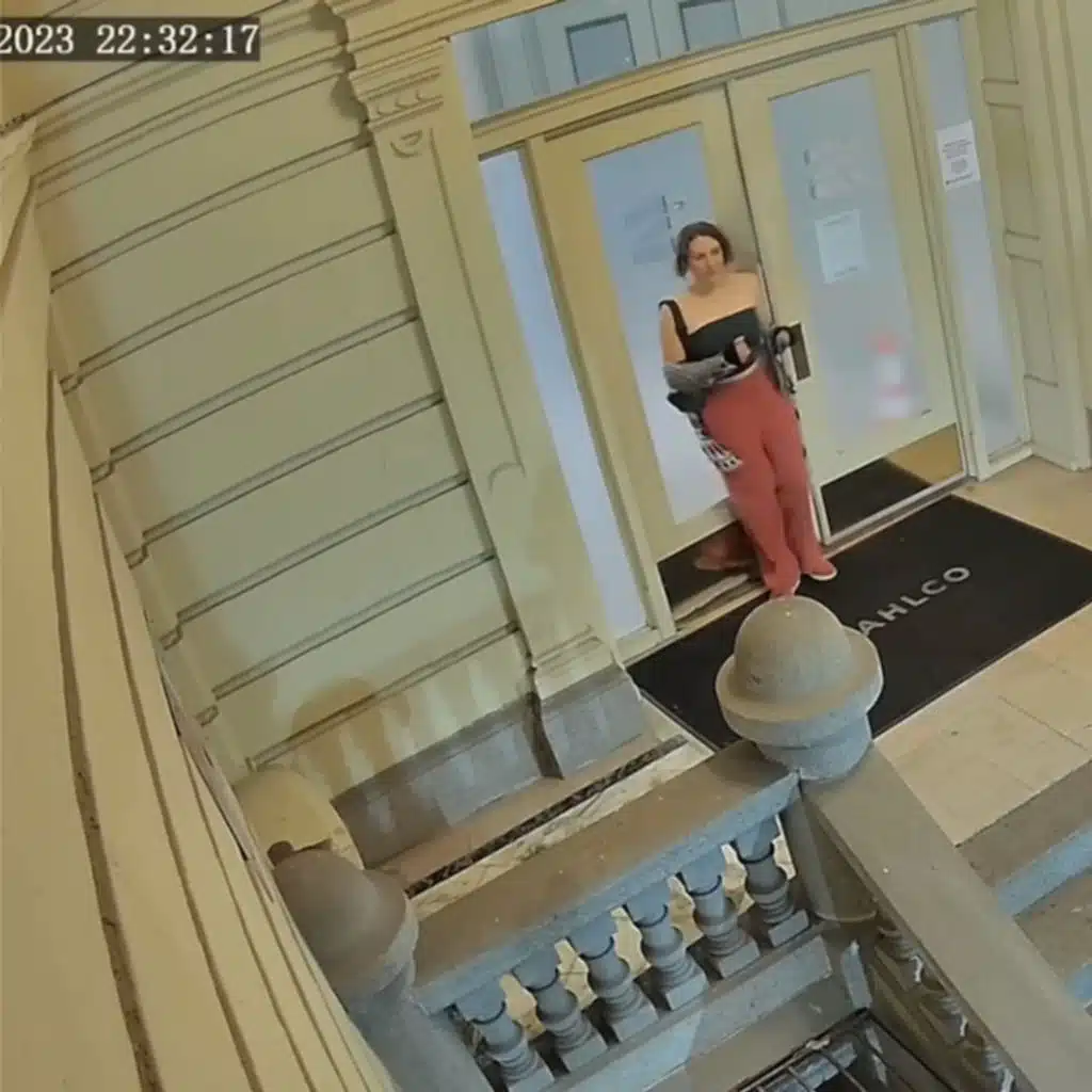 The murder of Pava LaPere, with chilling CCTV footage of her final moments.