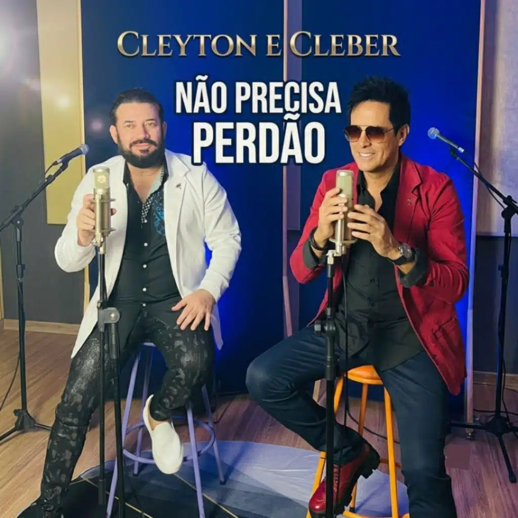 Não Precisa Perdão
