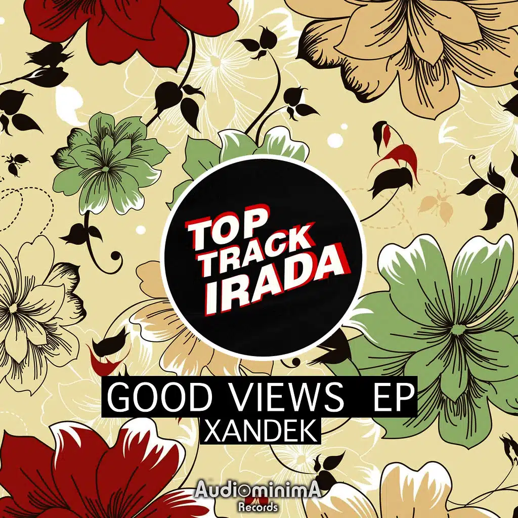 Good Views EP