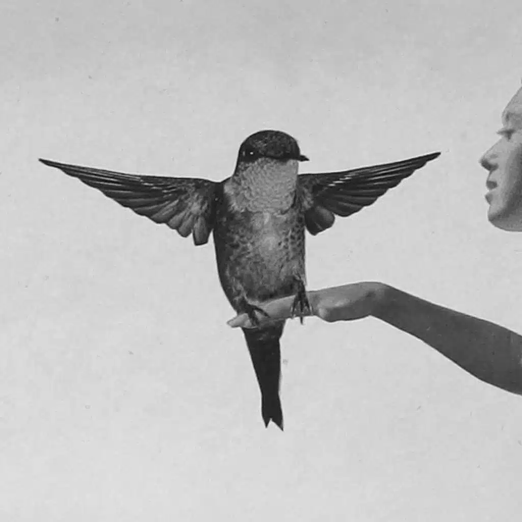 Grown Child (Acoustic Version) [Live] [feat. Sam Trump]