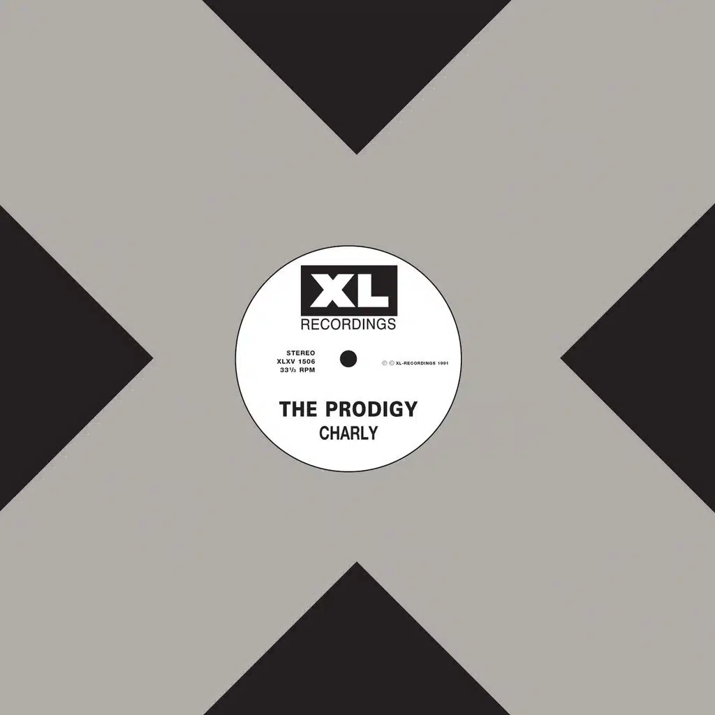 Charly (Alley Cat Mix)