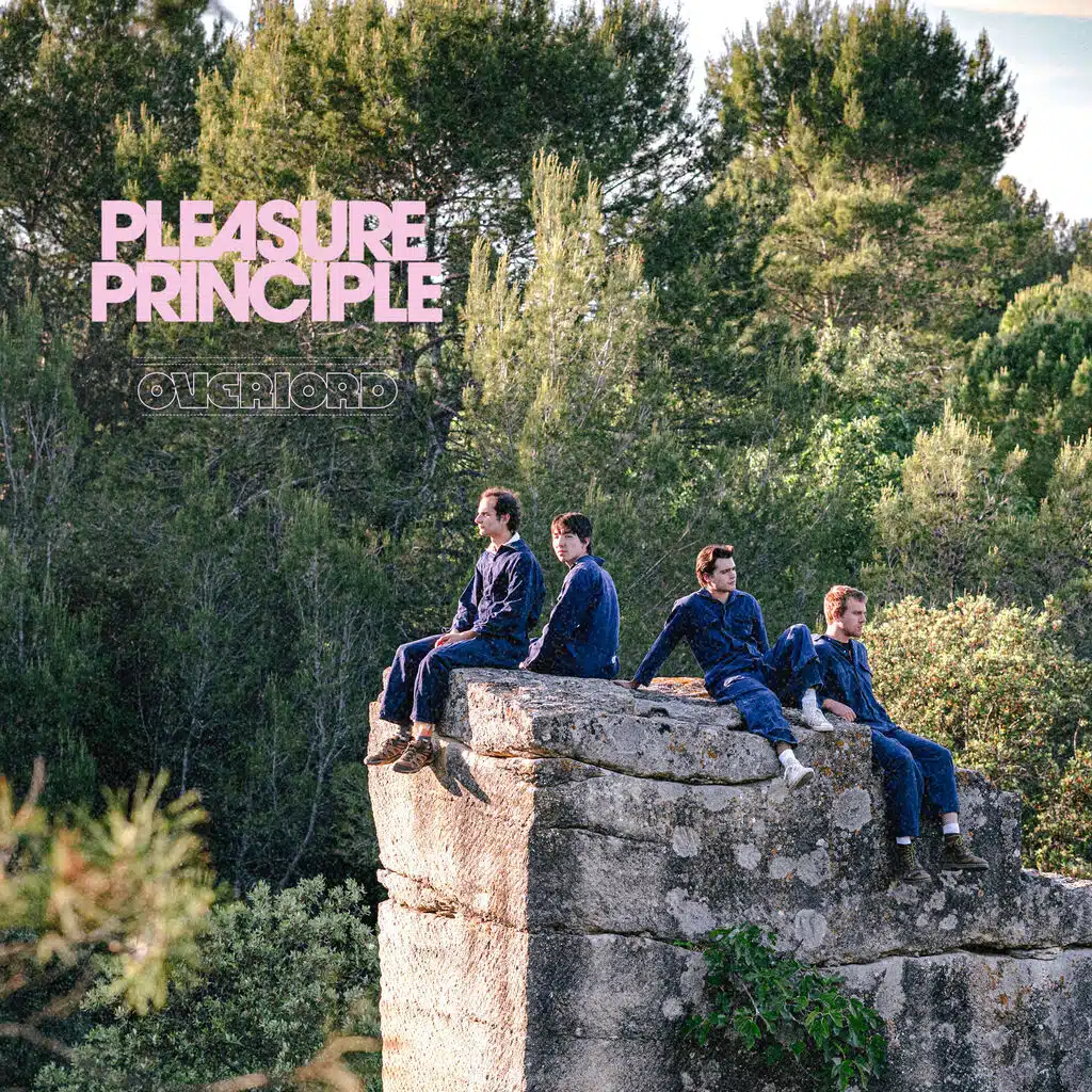 Pleasure Principle