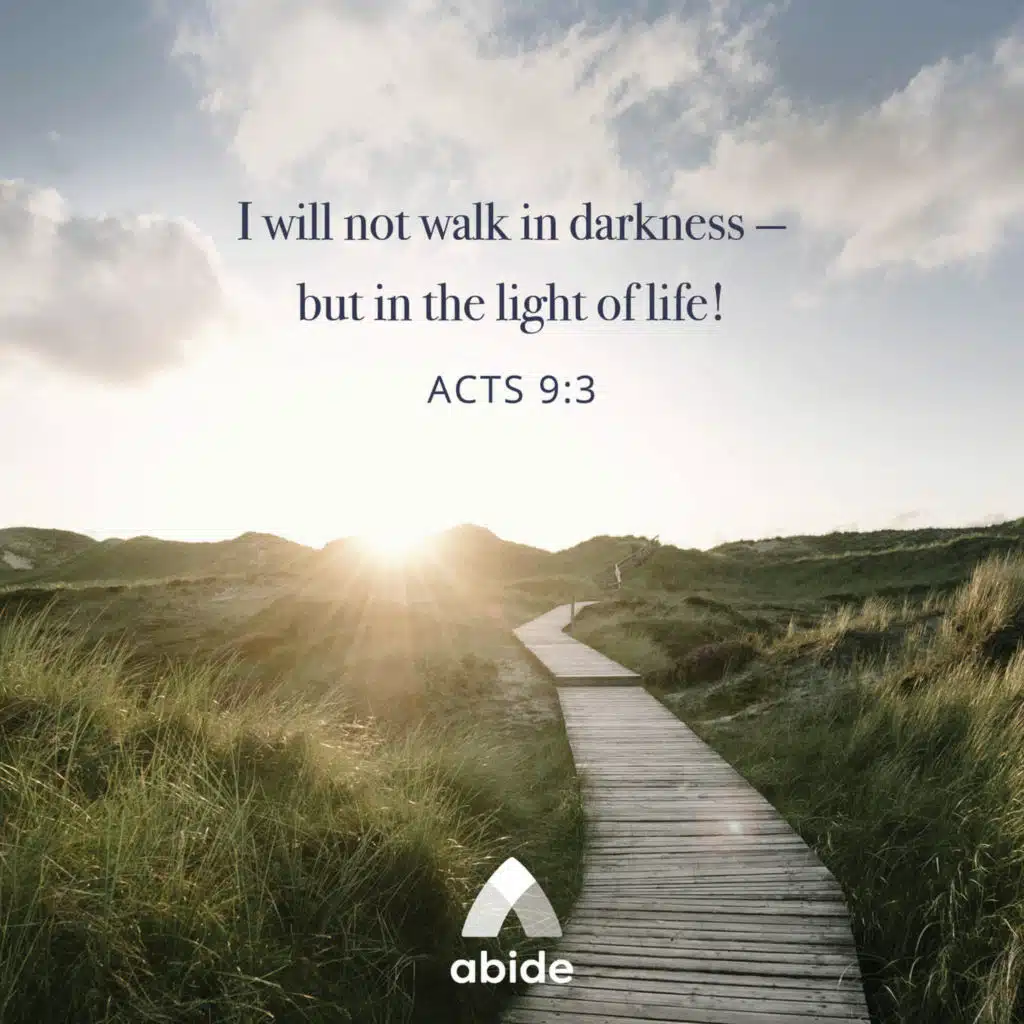 Seeing the Light