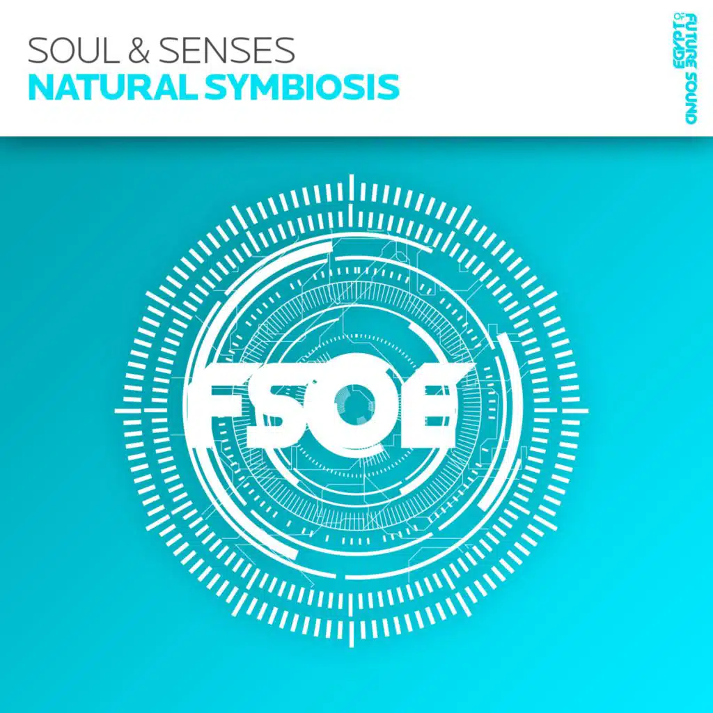 Soul & Senses