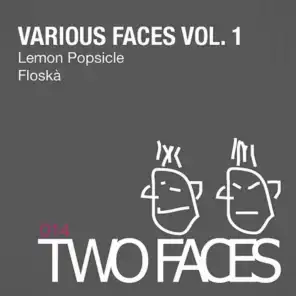 Various Faces Volume 1