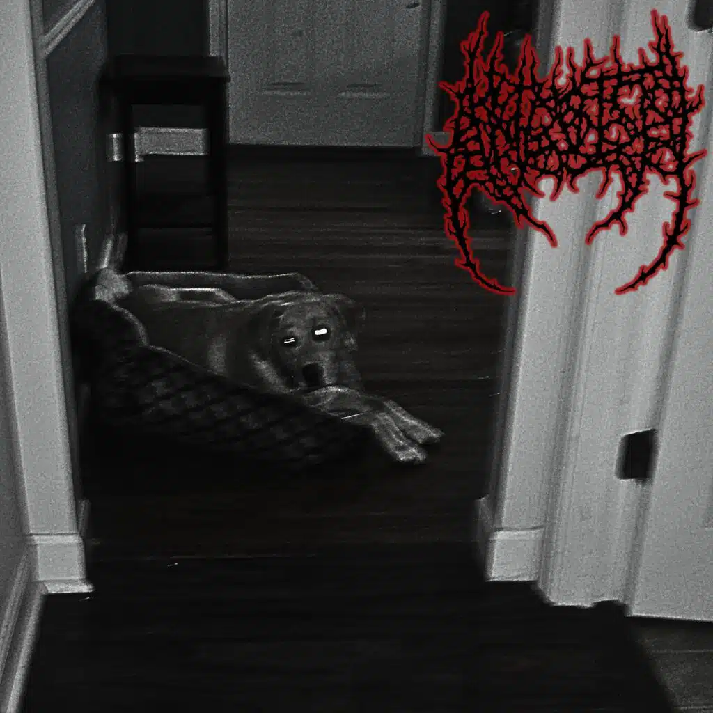 Anguish