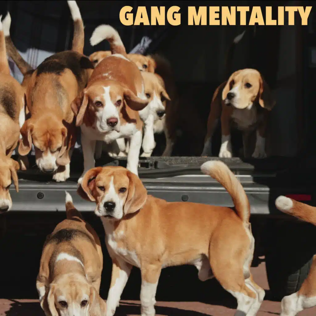 Gang Mentality