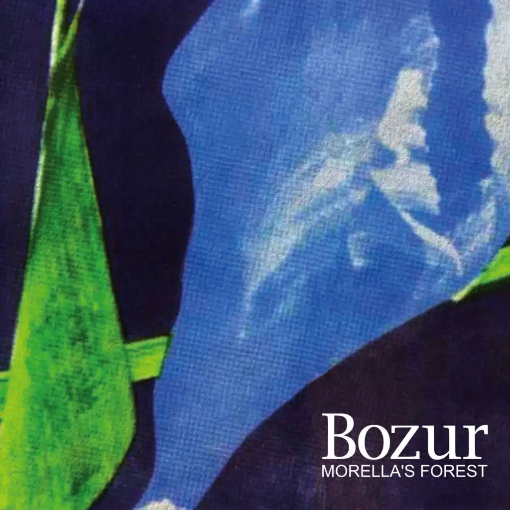 Bozur