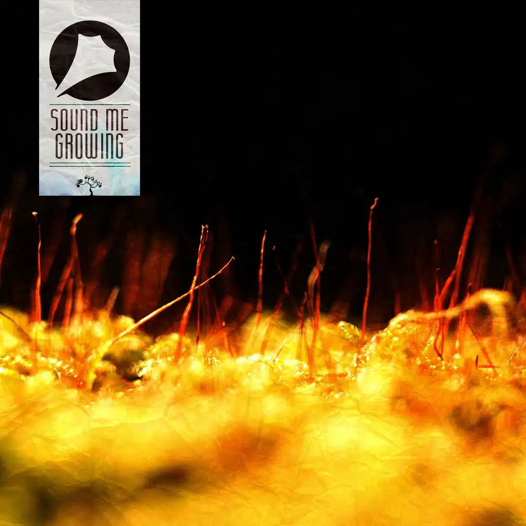 Sound Me
