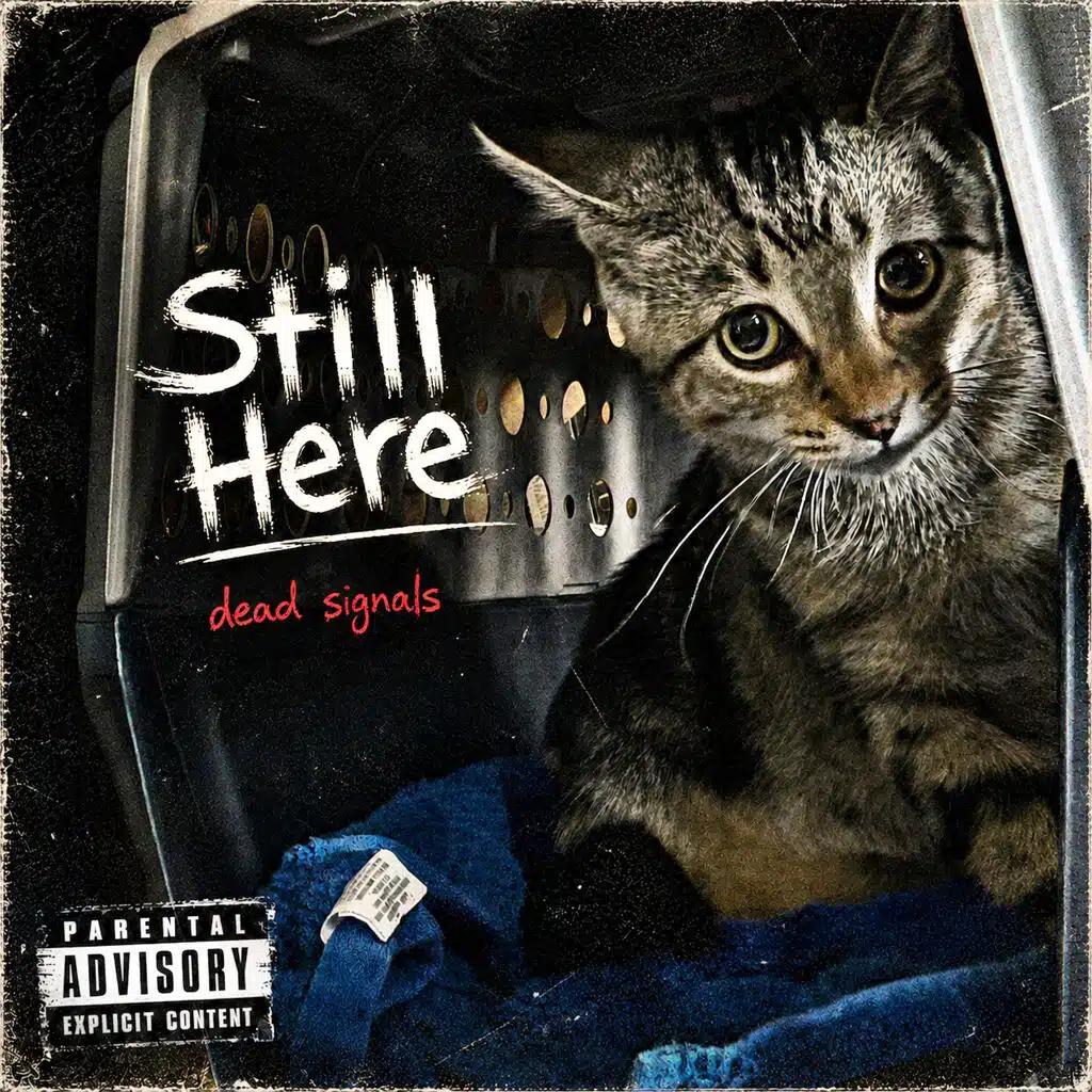 Still Here