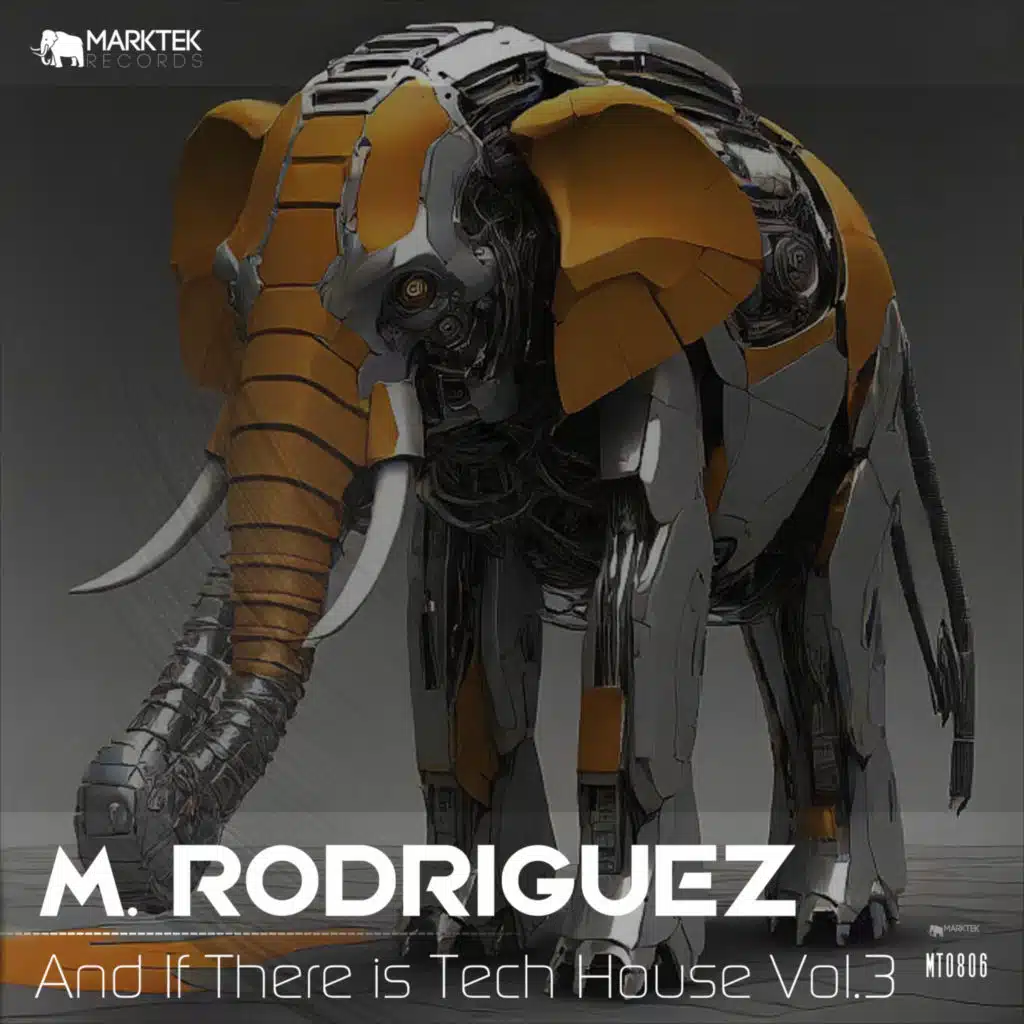 And If There is Tech House