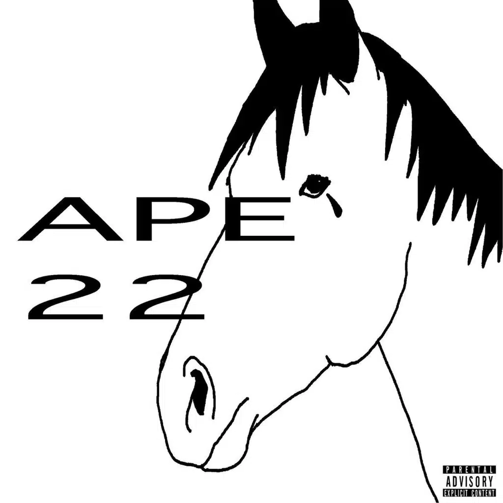 T-APE 22