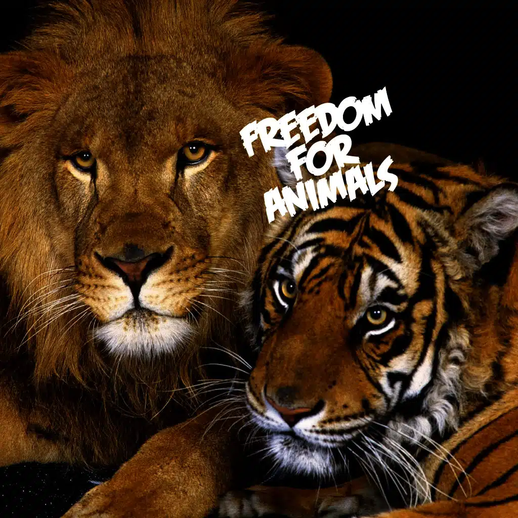 Freedom for Animals (Classic House Music edit)