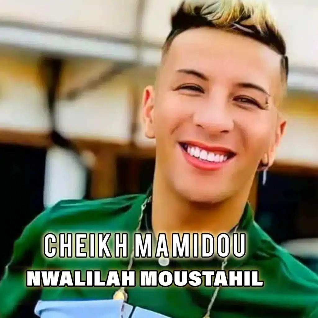 الشيخ ماميدو