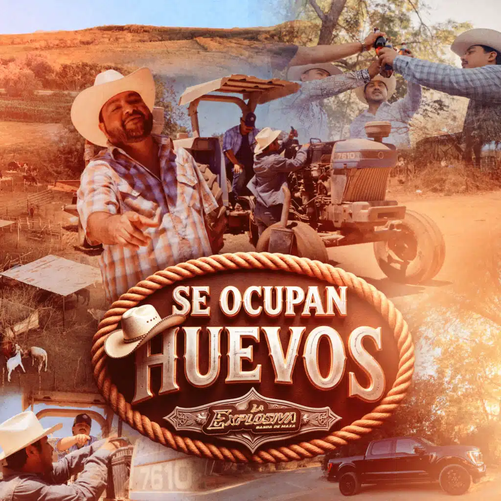 Se Ocupan Huevos