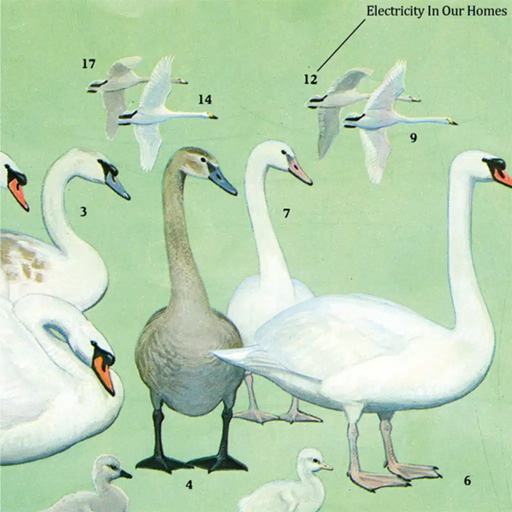 We Thought It Was But It Wasn't