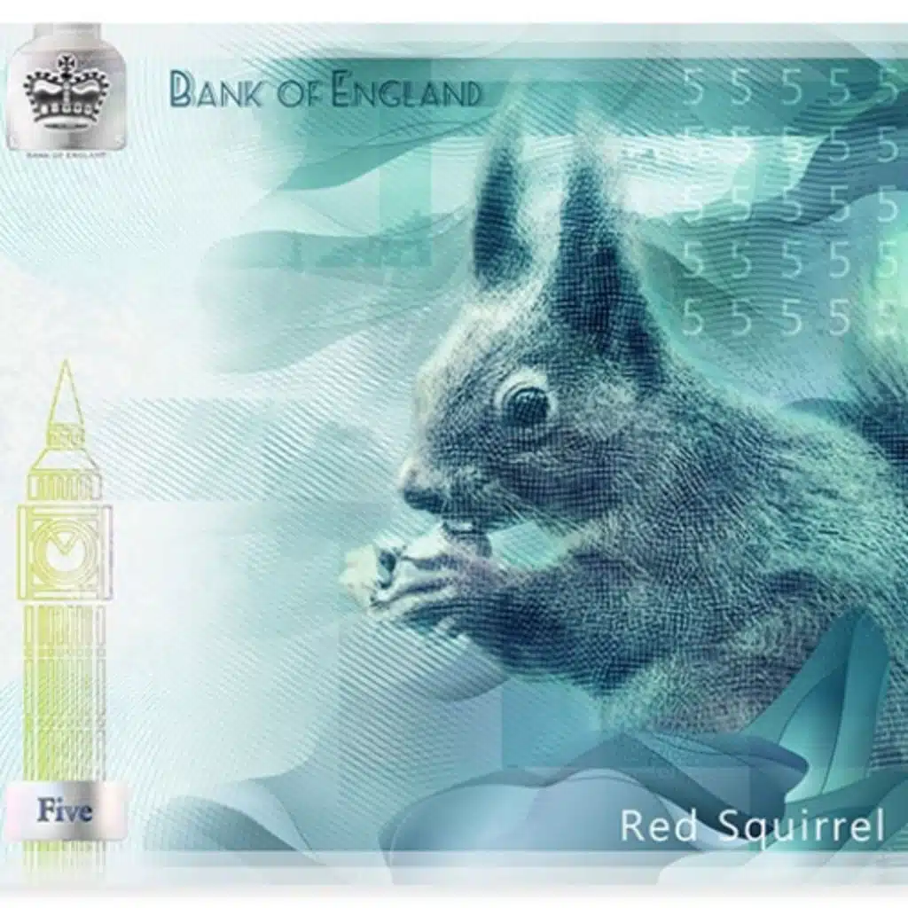 Bank of England opens wildlife vote for future banknotes💷💷