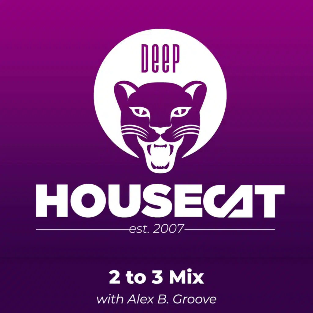 2 to 3 Mix - with Alex B. Groove | Deep House Cat Show