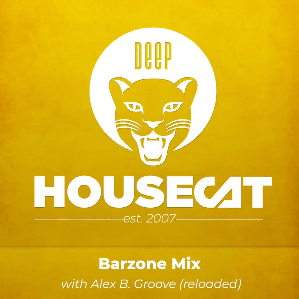 Barzone Mix (remastered) - with Alex B. Groove