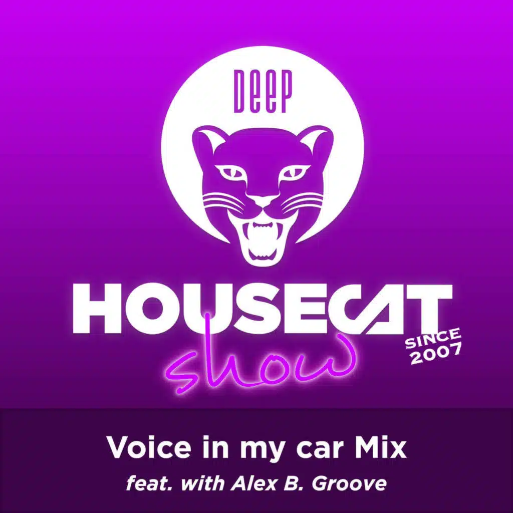 Deep House Cat Show - Voice in my car Mix - with Alex B. Groove