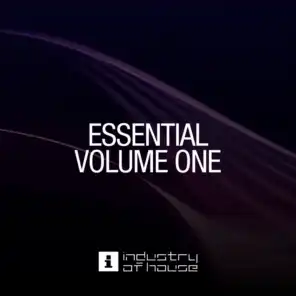 Essential, Vol. 1