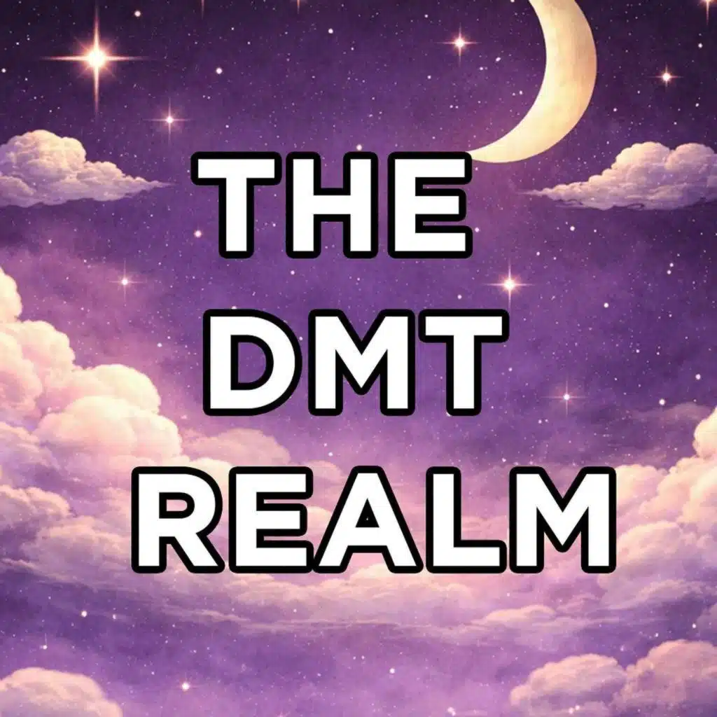A Field Guide to the DMT Realm