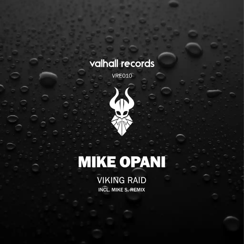Viking Raid (feat. Mike S.)