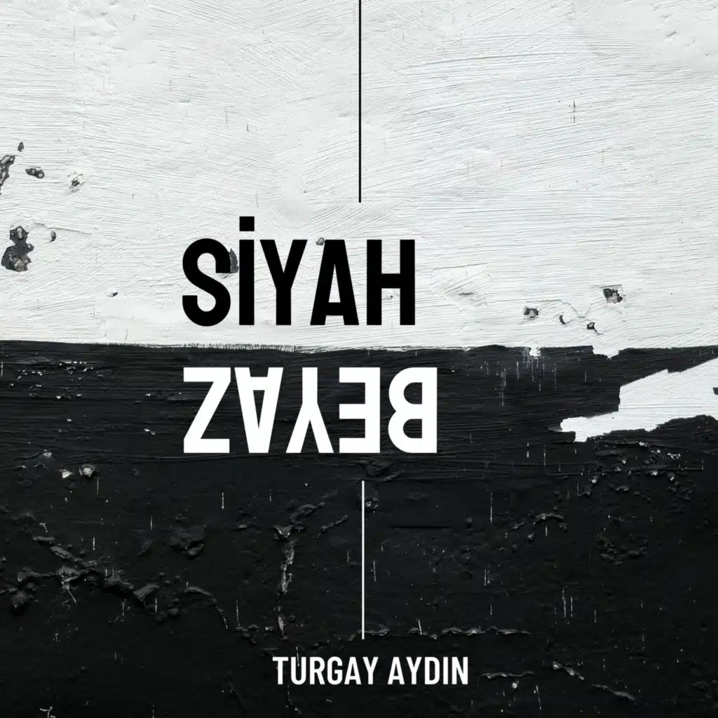 Turgay aydın