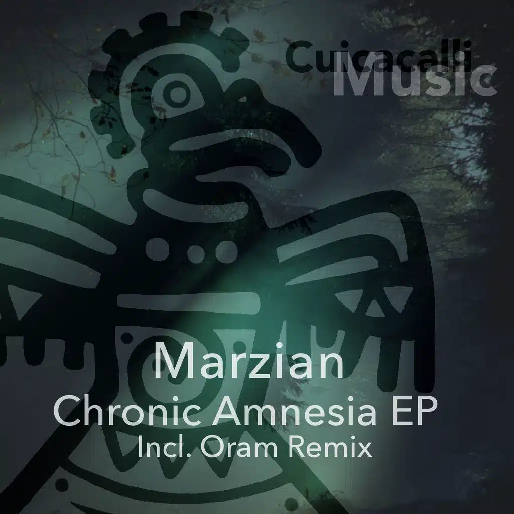 Chronic Amnesia EP