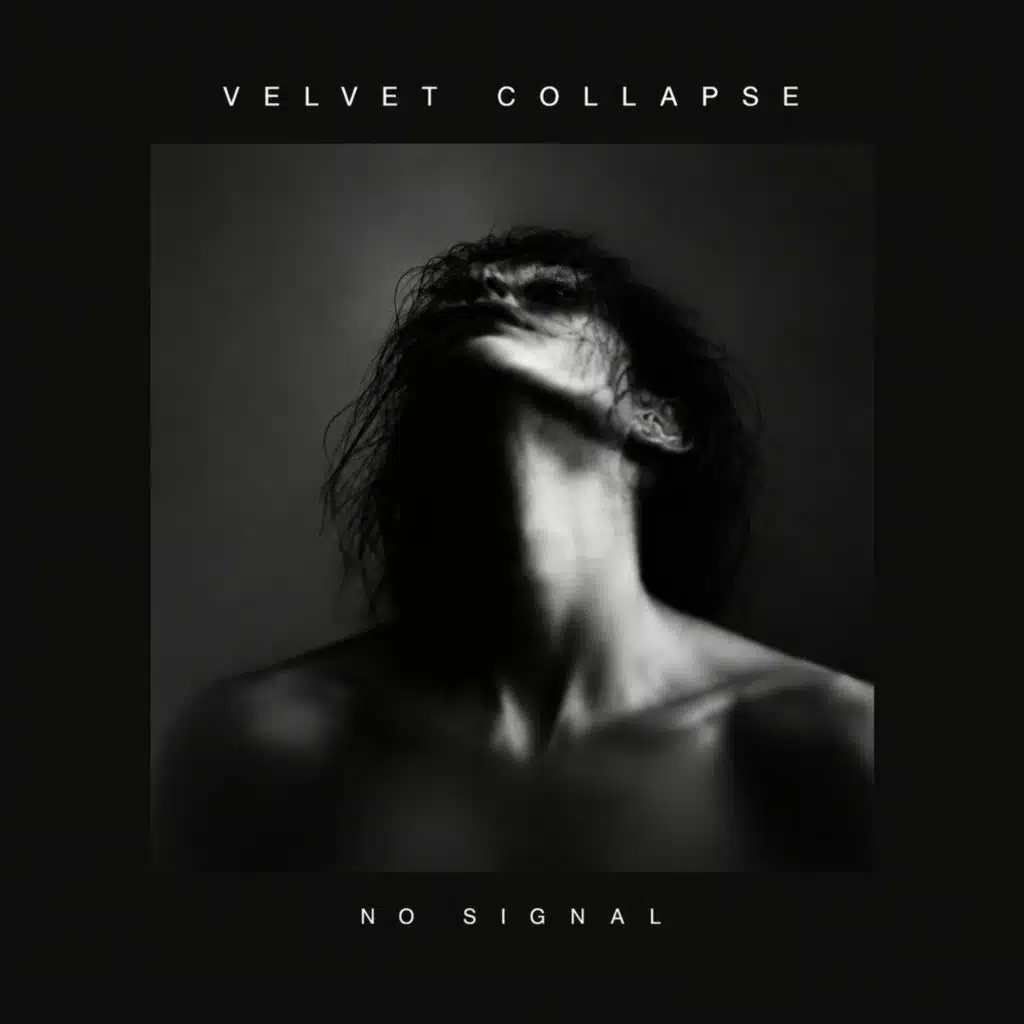 VELVET COLLAPSE