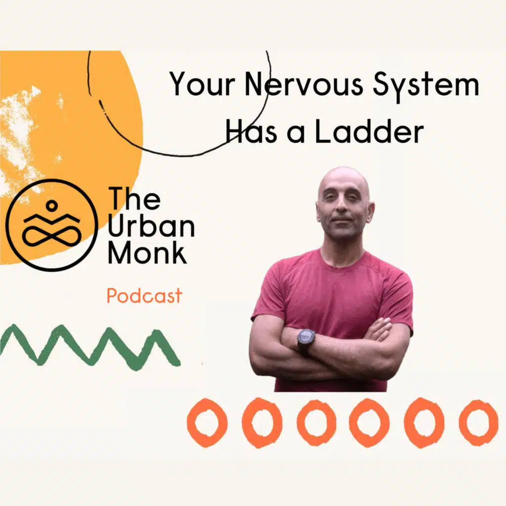 Your Nervous System Has a Ladder