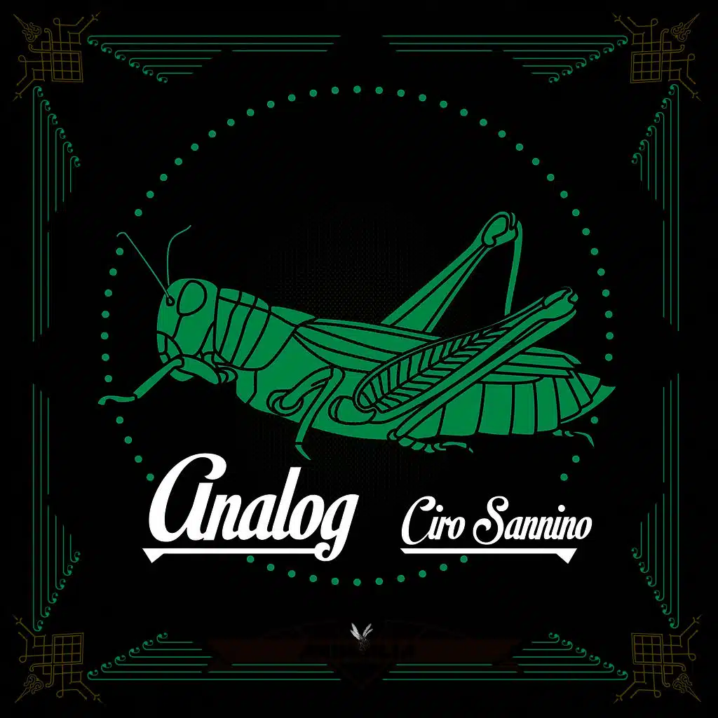 Analog