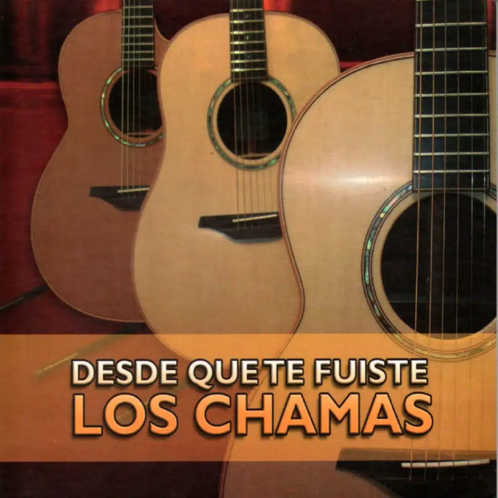 DESDE QUE TE FUISTE