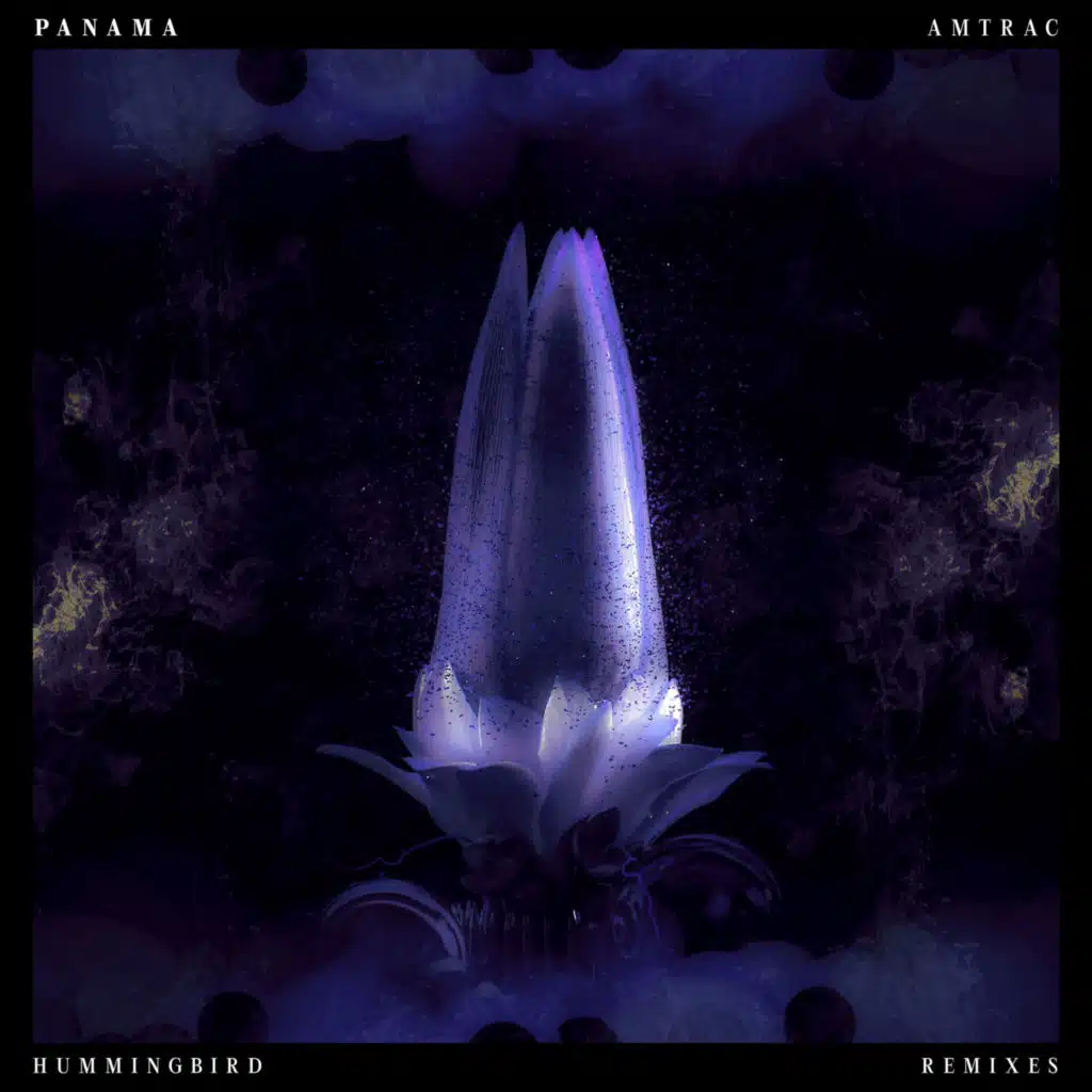 Hummingbird (Remixes)