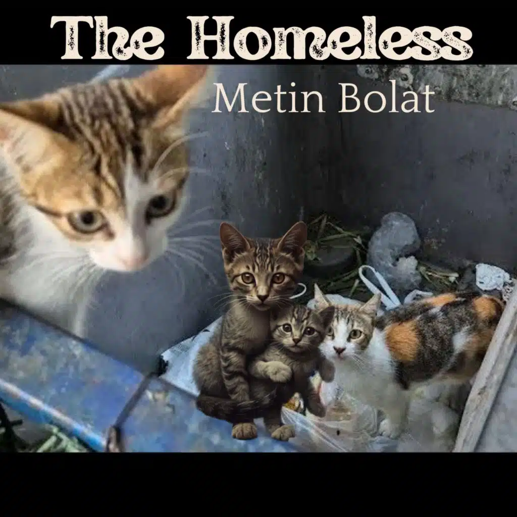 Metin Bolat