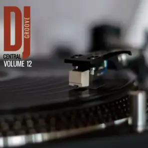 DJ Central - Groove, Vol. 12
