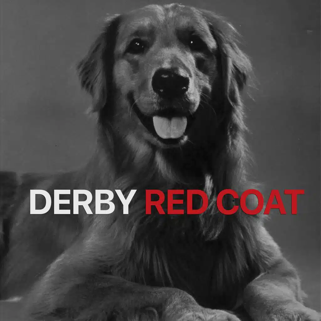 DERBY