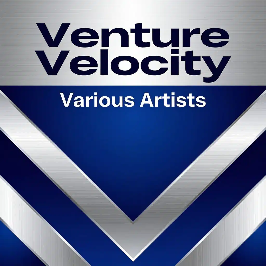 Venture Velocity