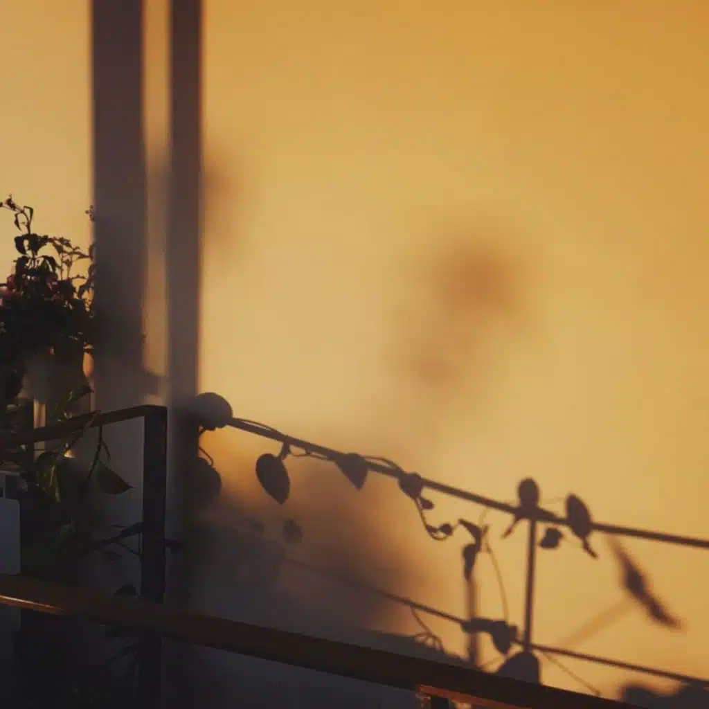 Un Último Atardecer